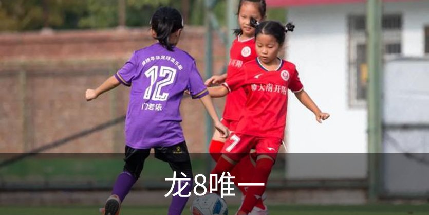 了解龙8唯一